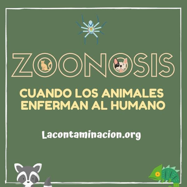 Qué son las zoonosis