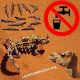 animales que pueden vivir sin agua