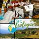 ecología vs consumismo