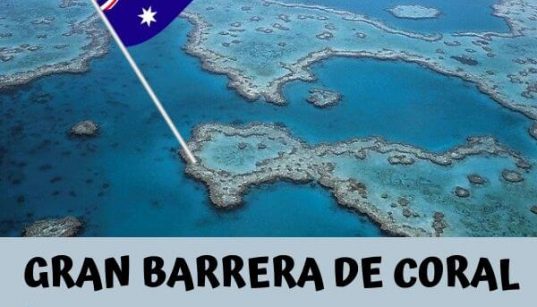 blanqueamiento de la gran barrera de coral de australia