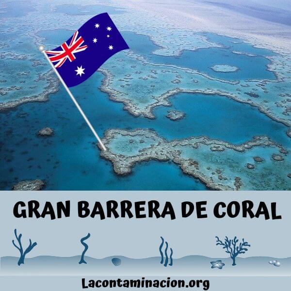 blanqueamiento de la gran barrera de coral de australia