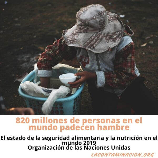 importancia de la seguridad alimentaria
