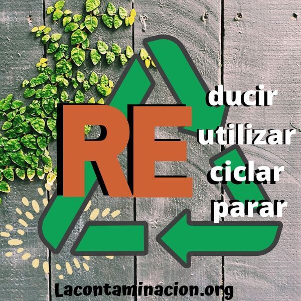 principios de la economía circular