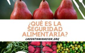 qué es la seguridad alimentaria