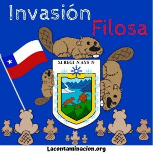 los castores especies invasoras de la Patagonia Chilena