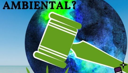 qué es el derecho ambiental