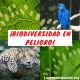 biodiversidad en peligro