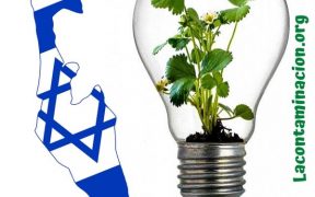 generación de electricidad a partir de las plantas en Israel