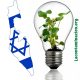 generación de electricidad a partir de las plantas en Israel