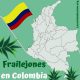 frailejones en Colombia