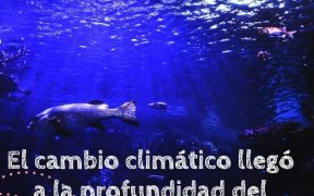 océano profundo