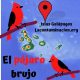 pájaro brujo de islas Galápagos