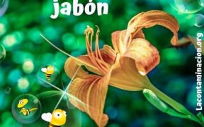 pompas de jabón polinizadoras de flores y plantas