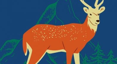 huemules animales