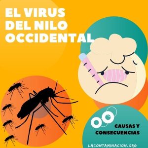 virus del Nilo Occidental en España