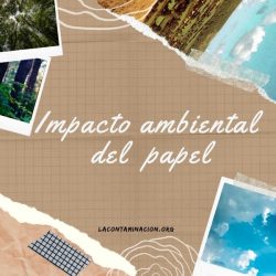impacto ambiental del papel