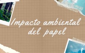 impacto ambiental del papel