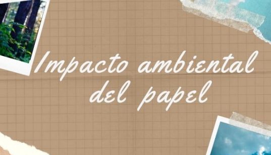 impacto ambiental del papel