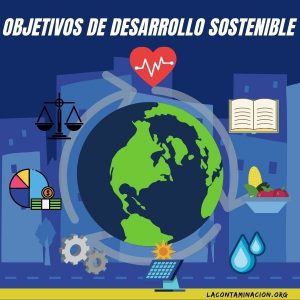 Qué son los Objetivos de Desarrollo Sostenible