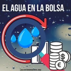 el agua en la bolsa