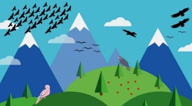 el futuro de las aves de montaña en Europa está en riesgo
