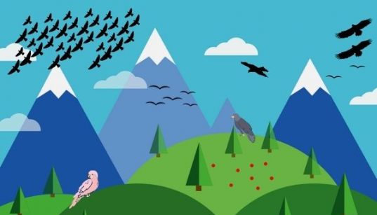el futuro de las aves de montaña en Europa está en riesgo