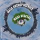 masa antropogénica vs masa vegetal en el 2020