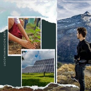 Necesitamos integrar el capital natural en el modelo productivo - La ...