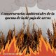 cuáles son las consecuencias ambientales de la quema de la paja de arroz