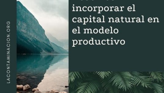 importancia del capital natural