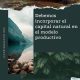importancia del capital natural