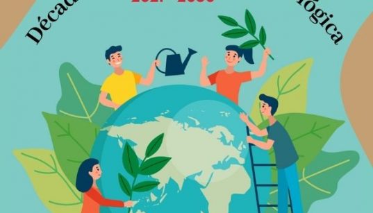 2021 - 2030 década de la restauración de los ecosistemas