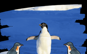 El 25 de abril se celebra el día del pingüino