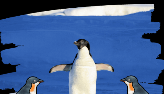 El 25 de abril se celebra el día del pingüino
