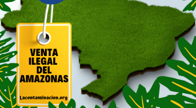 Venta ilegal del Amazonas en Facebook
