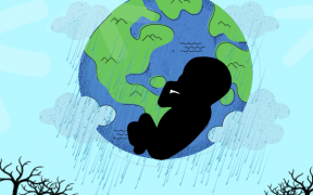 el cambio climático afecta el crecimiento fetal