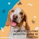 alimentación para mascotas a base de insectos