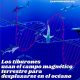 Los tiburones usan el campo magnético terrestre para desplazarse en la inmensidad del océano