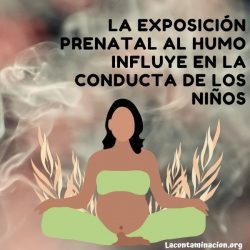 La exposición prenatal al humo influye en la conducta de los niños
