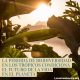 La pérdida de biodiversidad en los trópicos condiciona el futuro de la vida en el planeta