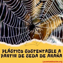 crean plástico sustentable a partir de seda de araña