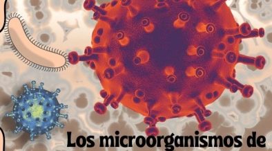 Los grandes microorganismos pueden recorrer largas distancias en el aire