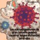 Los grandes microorganismos pueden recorrer largas distancias en el aire